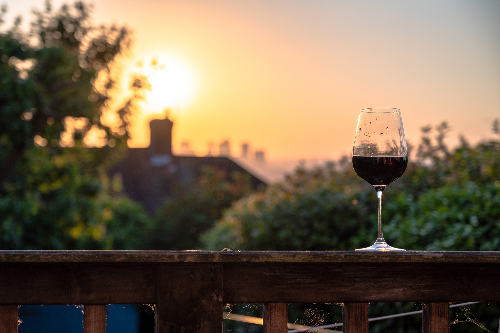 A Glass of Wine at Dinner