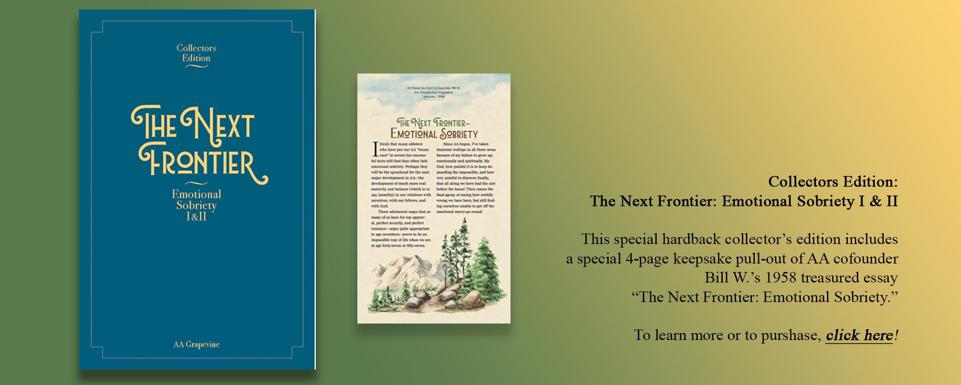 Banner Book Next Frontier