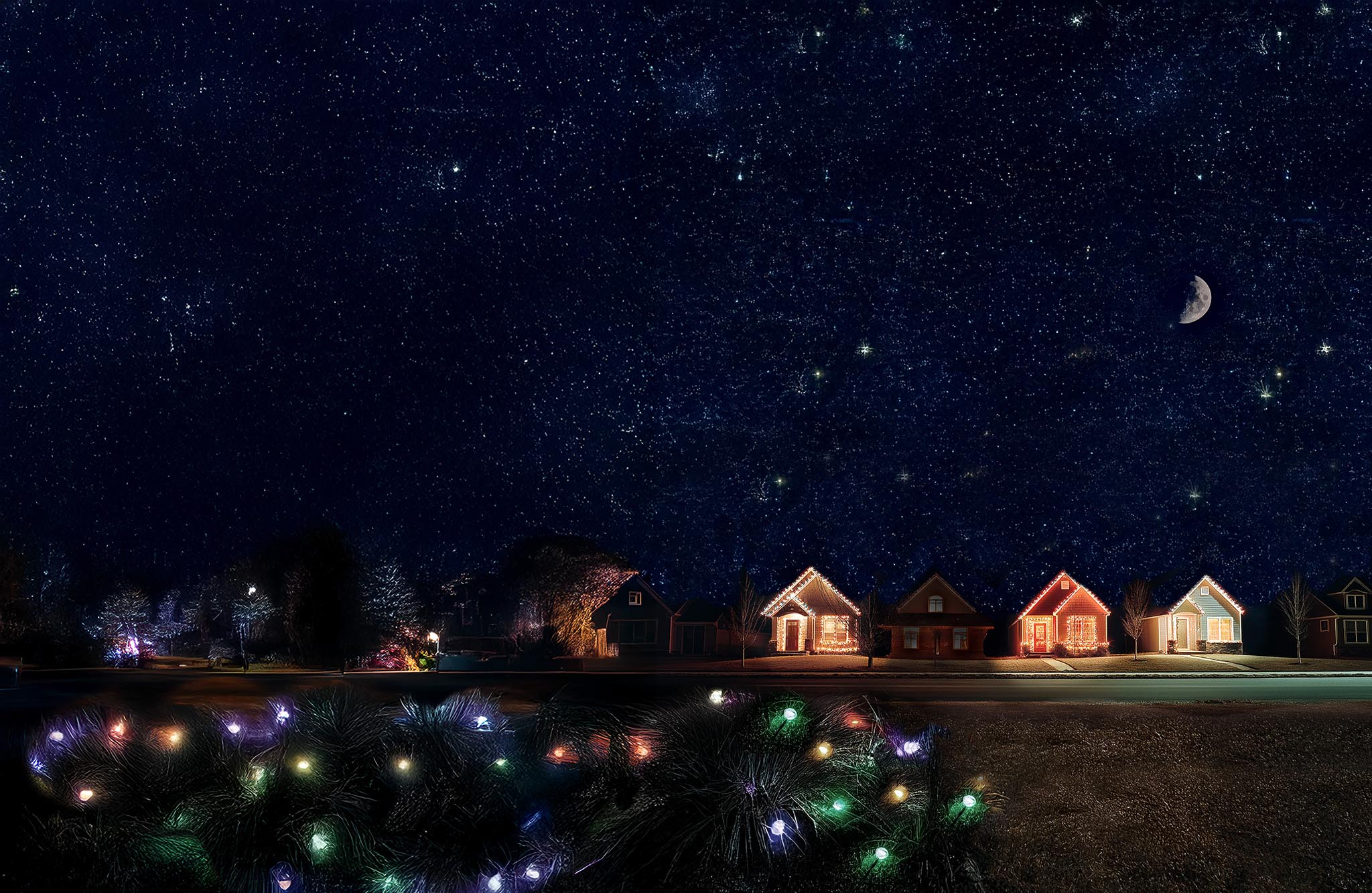 Remedy for a Lonely Holiday