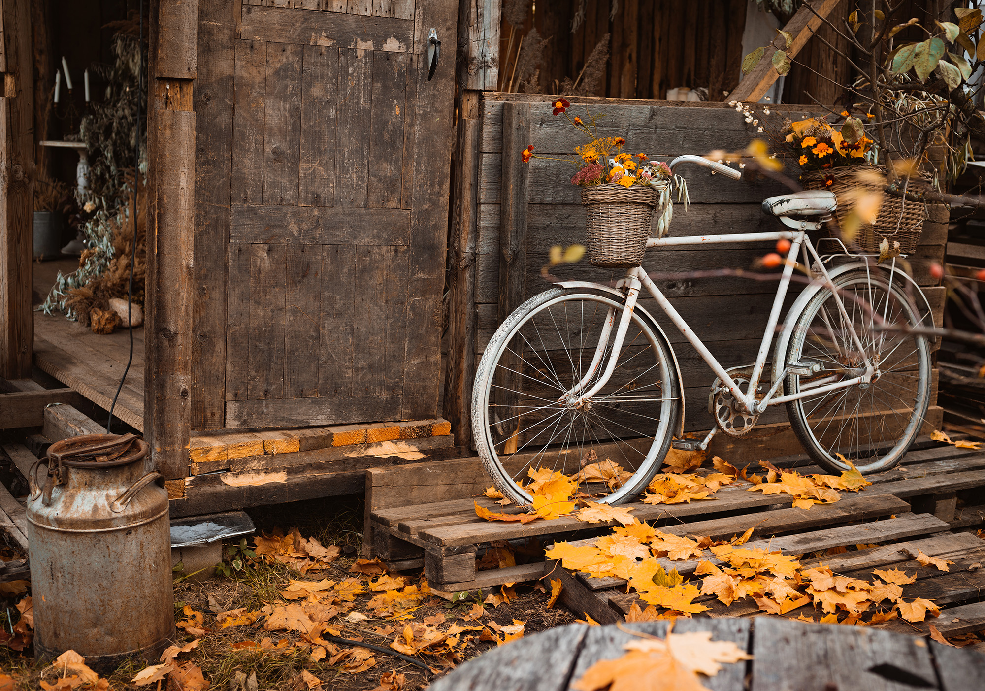 	Experience. Strength. Hope