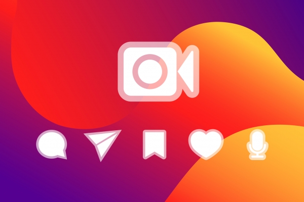 Follow Grapevine and La Viña on Instagram!