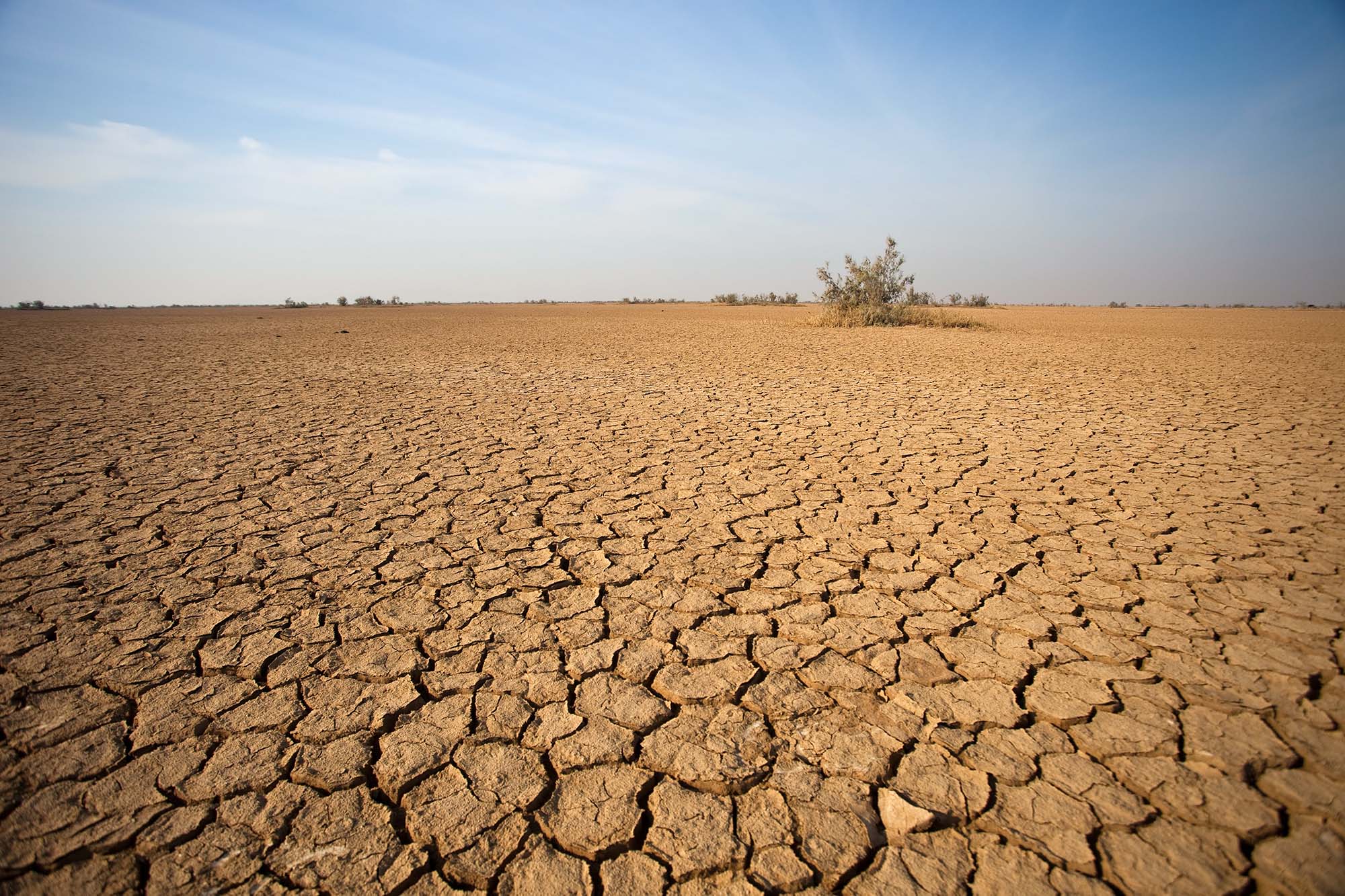 How Dry I Am
