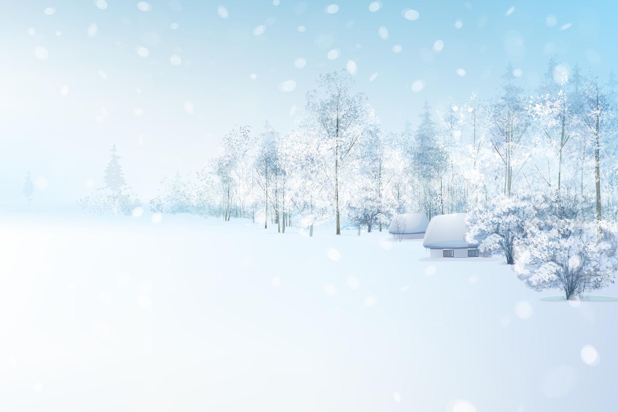 Another Beautiful Year 