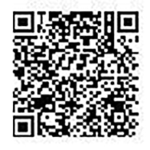 Google Store QR for GV