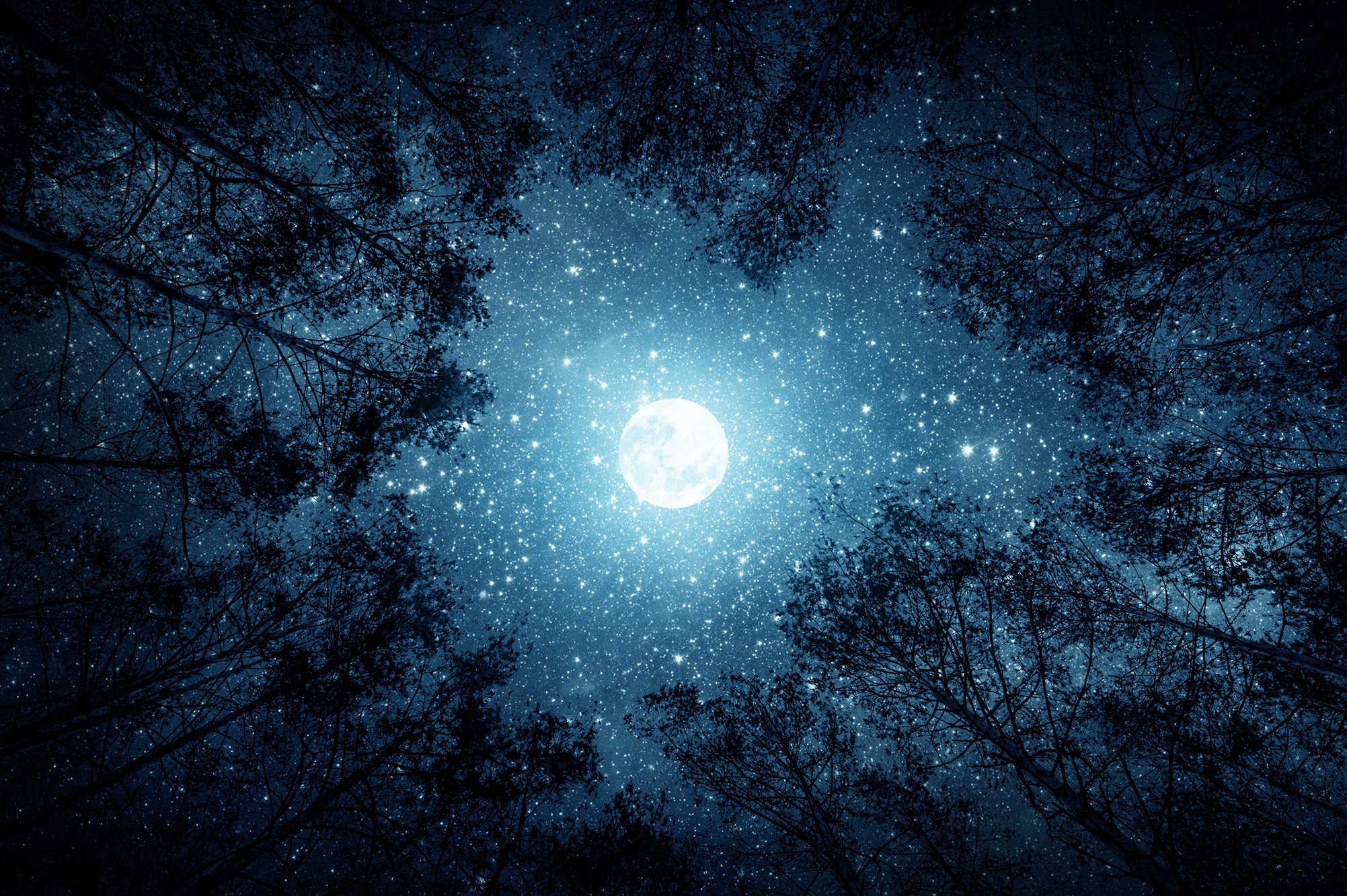 	I Want To Be Happy, Joyous & Free Today