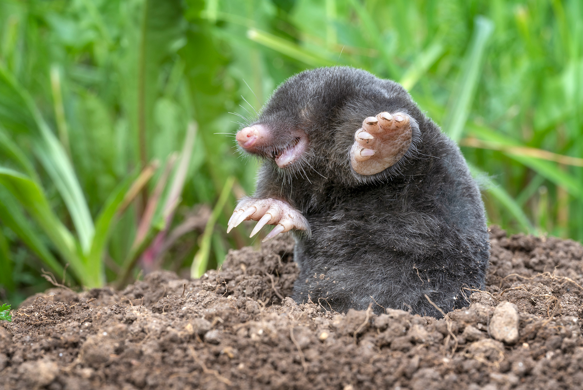 My Relationship with god